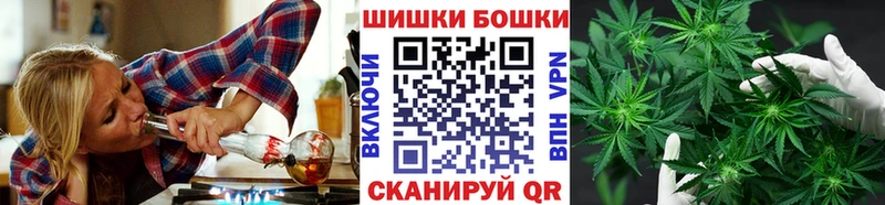 Бошки Шишки Сосновоборск