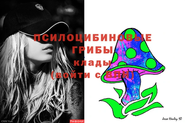 ПСИЛОЦИБИНОВЫЕ ГРИБЫ Алексеевка