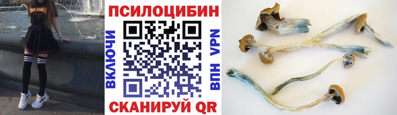 Псилоцибиновые грибы MAGIC MUSHROOMS  Сосновоборск 